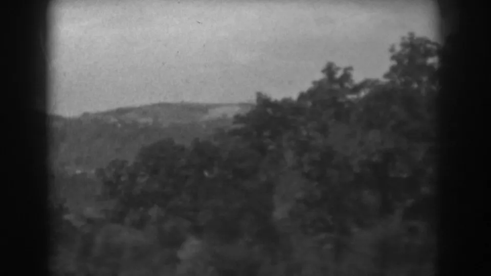 Black-and-white 8mm frame from Vineland, New Jersey, with leafy trees and a hazy hillside in the distance.