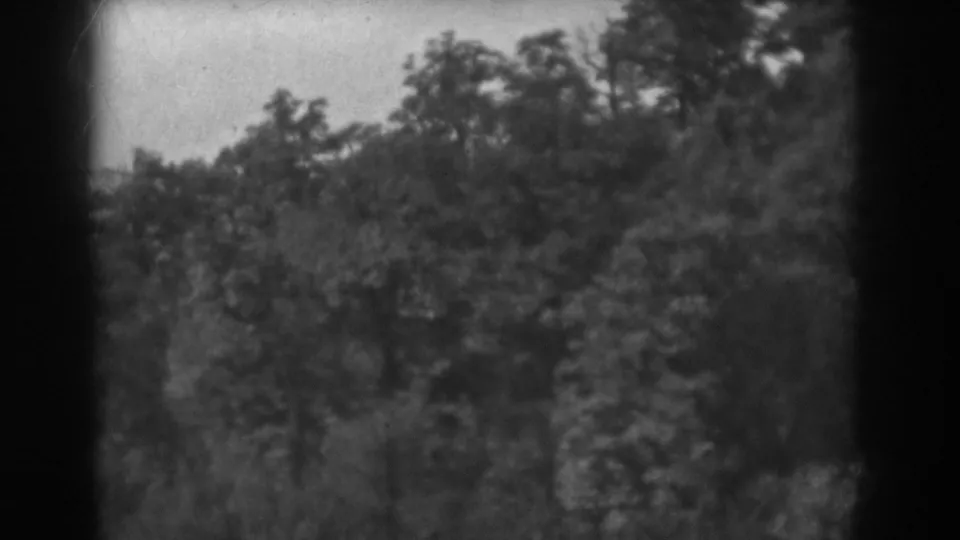 Black-and-white 8mm frame of trees and distant low hills in Vineland, New Jersey, with soft archival home-movie texture.