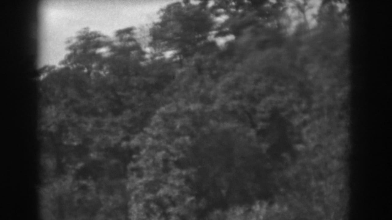 1938 Vineland 8mm frame with layered leafy trees, soft-focus foliage, pale sky, and visible film-edge shading.