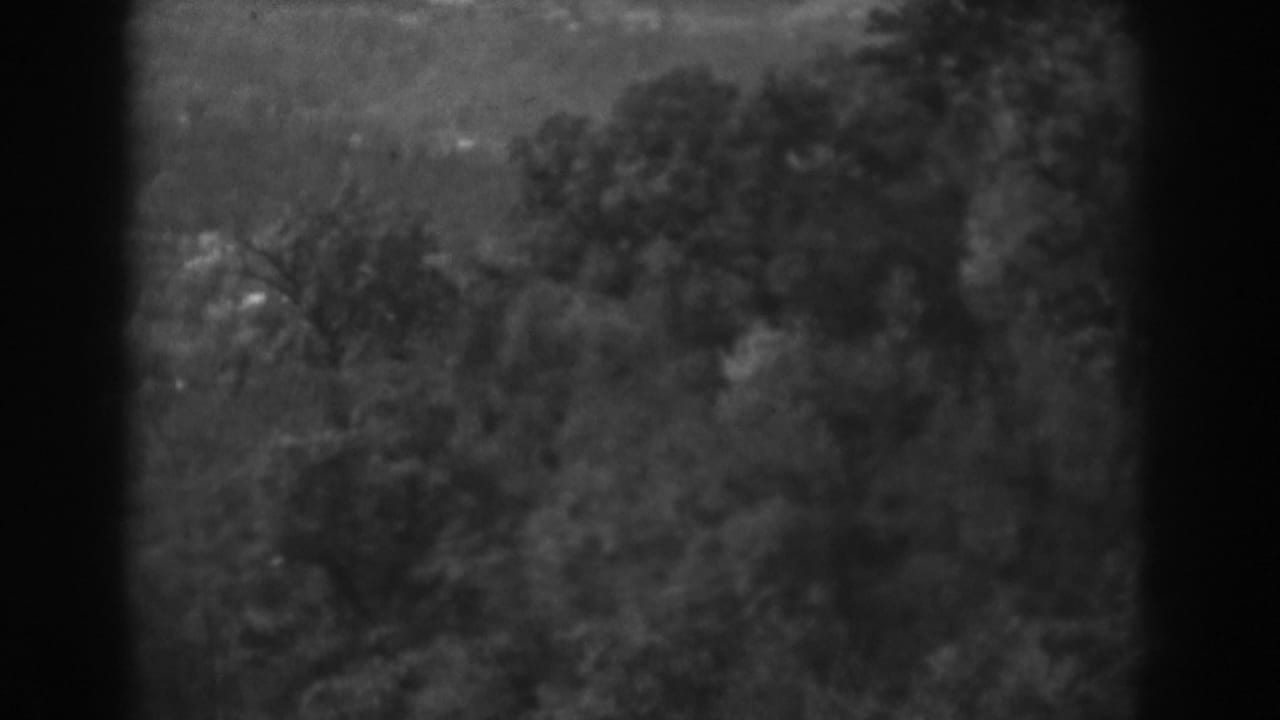 Soft black-and-white view of wooded hills and dense trees.