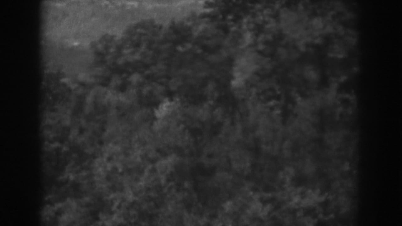 Black-and-white 1938 Vineland frame with dense trees and hillside texture, partly obscured by 8mm frame edges.