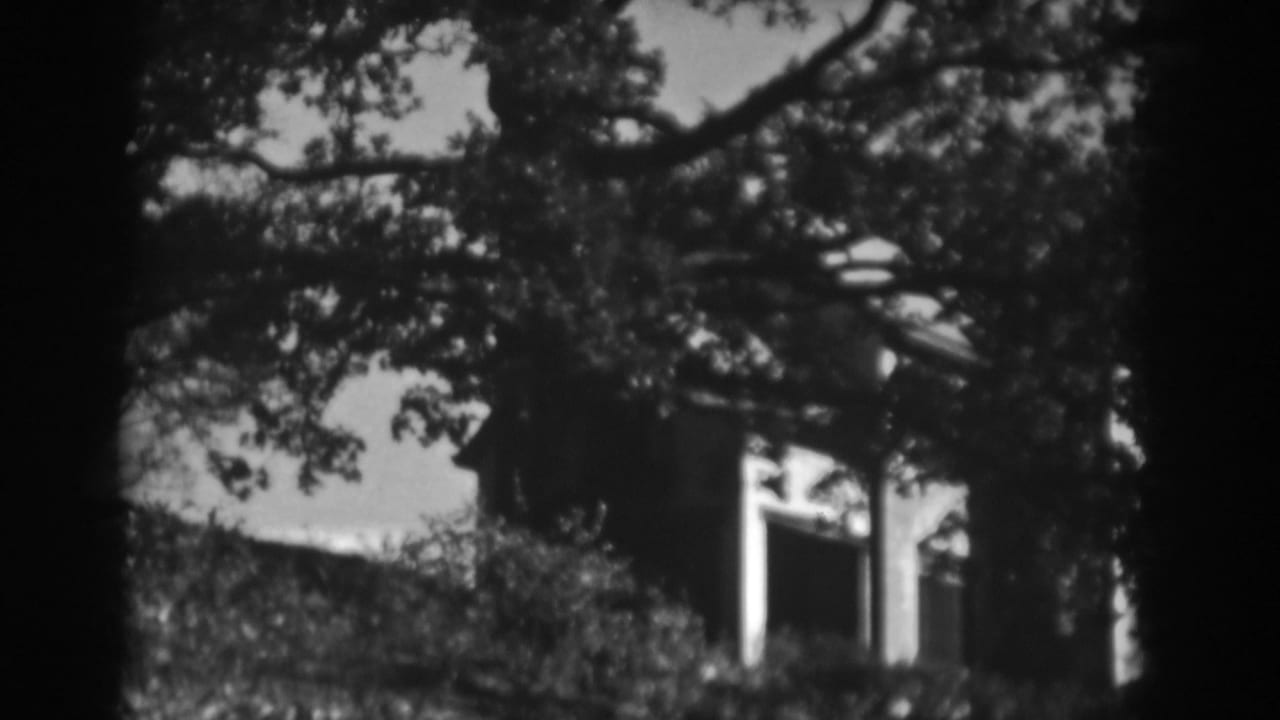 Tree branches and foliage partly obscure a house or porch on a slope.