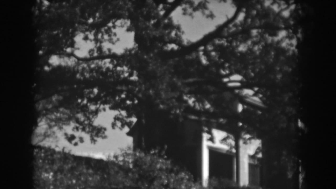 Foliage and overhanging branches frame a partially hidden house exterior.