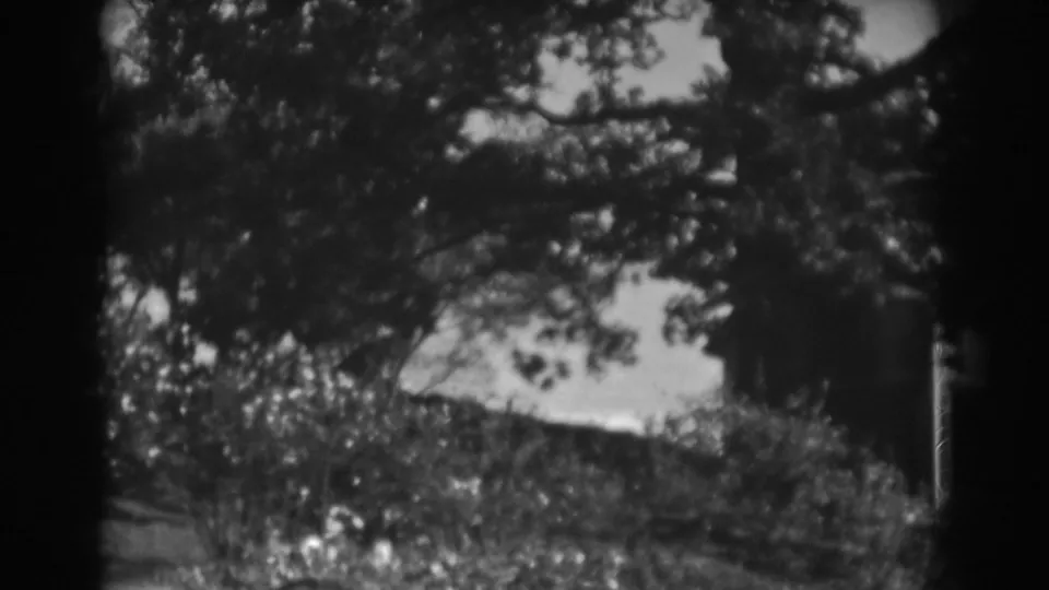 Late frame of the 1938 Vineland pan, with branches, shrubs, and a partially cropped house exterior at the right edge.