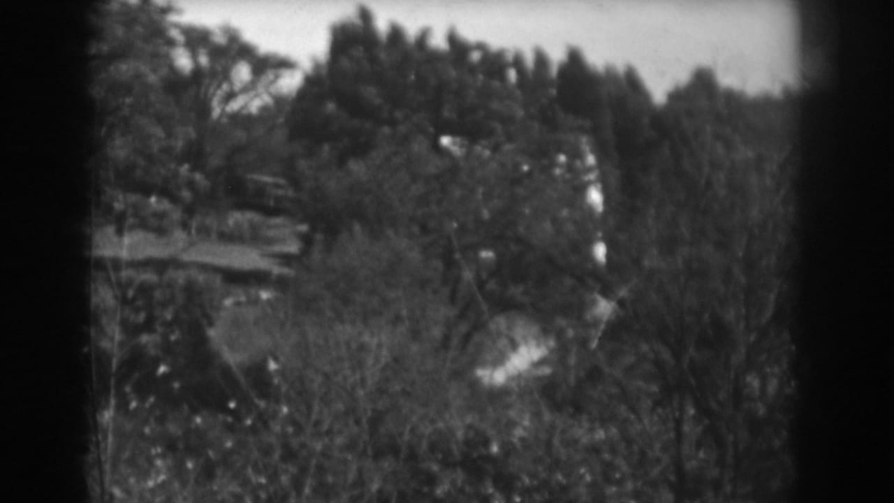 Trees and shrubbery appear across a shaded outdoor area in 1938 Vineland, New Jersey 8mm home-movie footage.
