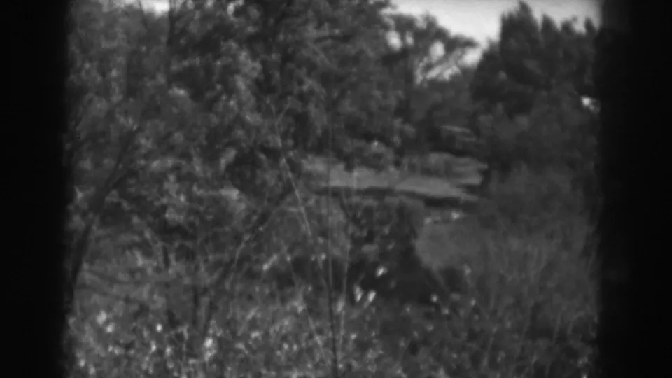 Layered shrubbery and trees fill the 1938 Vineland, New Jersey frame, with visible grain and dark 8mm gate edges.