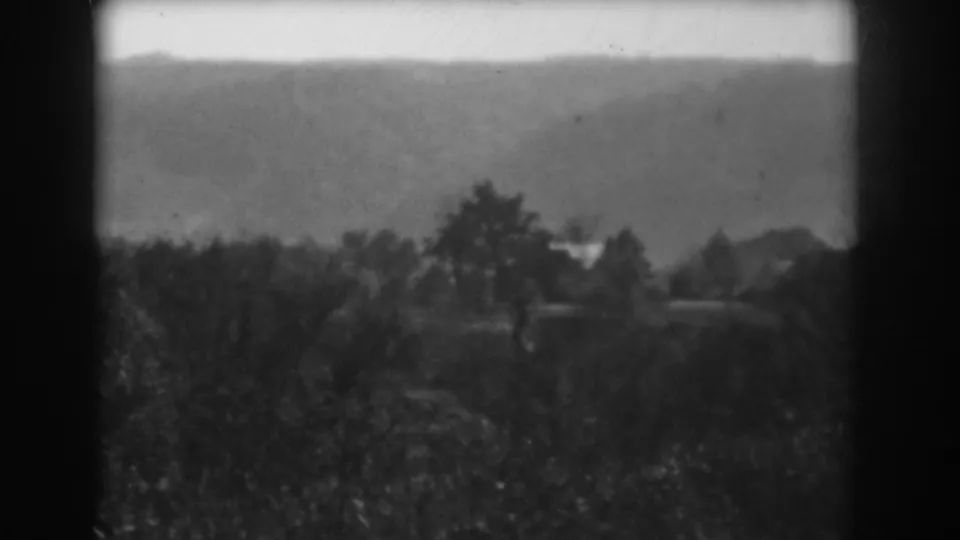 Black-and-white 8mm frame showing foreground trees and a distant rolling hillside in the Vineland landscape clip.