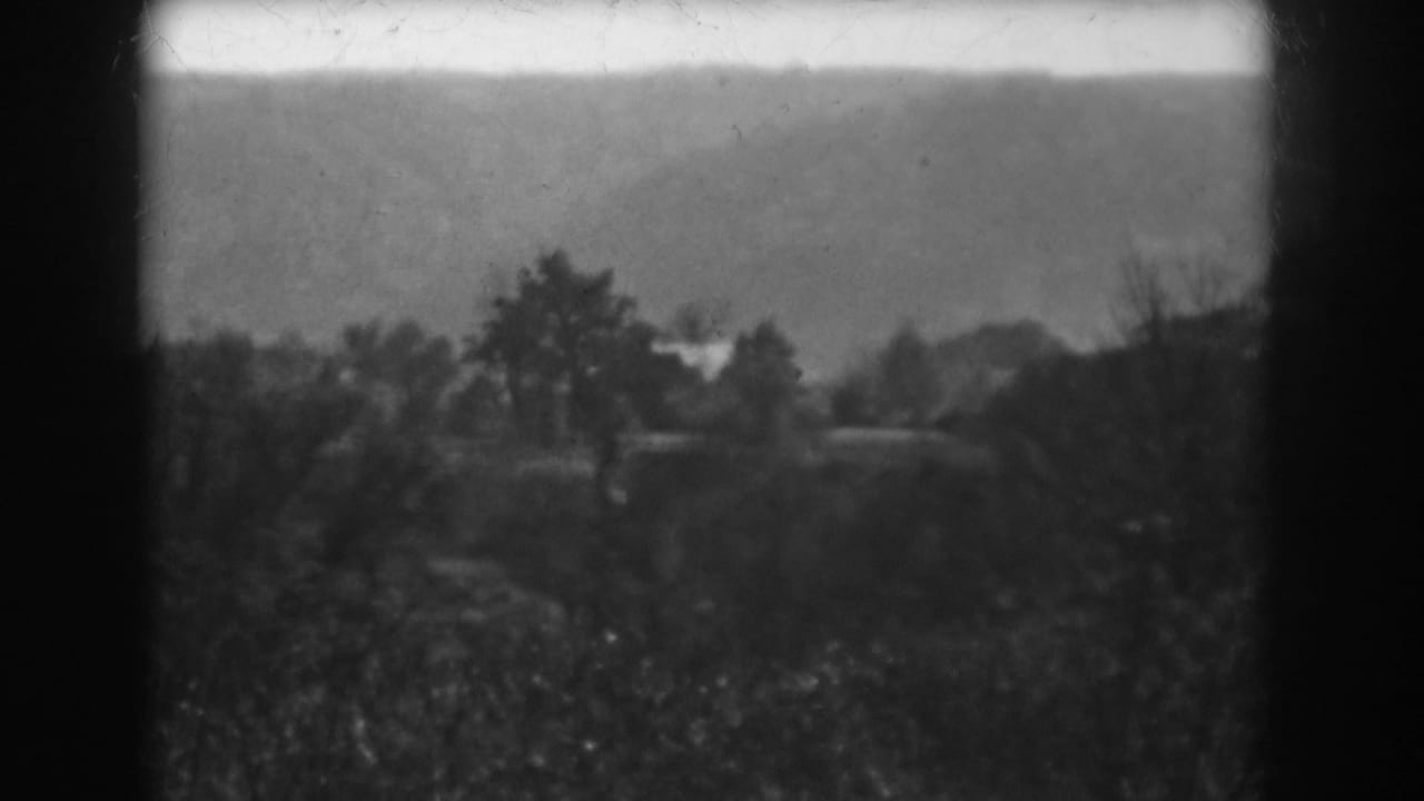 Soft 8mm frame from Vineland, New Jersey in 1938, with a tree line, distant hills, brush, and faint structures beyond the foliage.