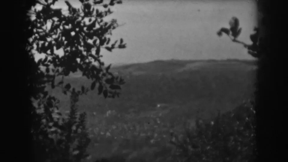 Foreground leaves and branches frame a soft 1938 Vineland valley view with a low hillside beyond.
