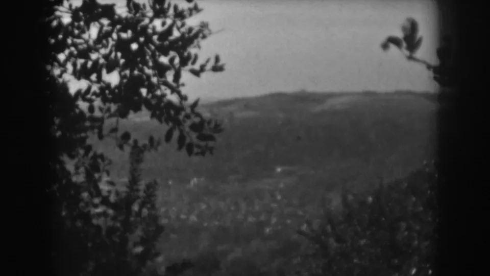 Final 8mm frame of the Vineland landscape, with dark branches crossing a hazy valley and distant hill.