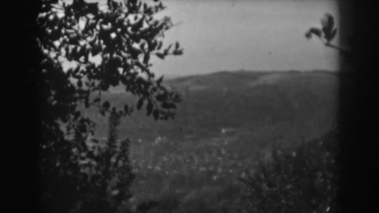 Tree branches frame a soft distant view of rolling hills and a valley.