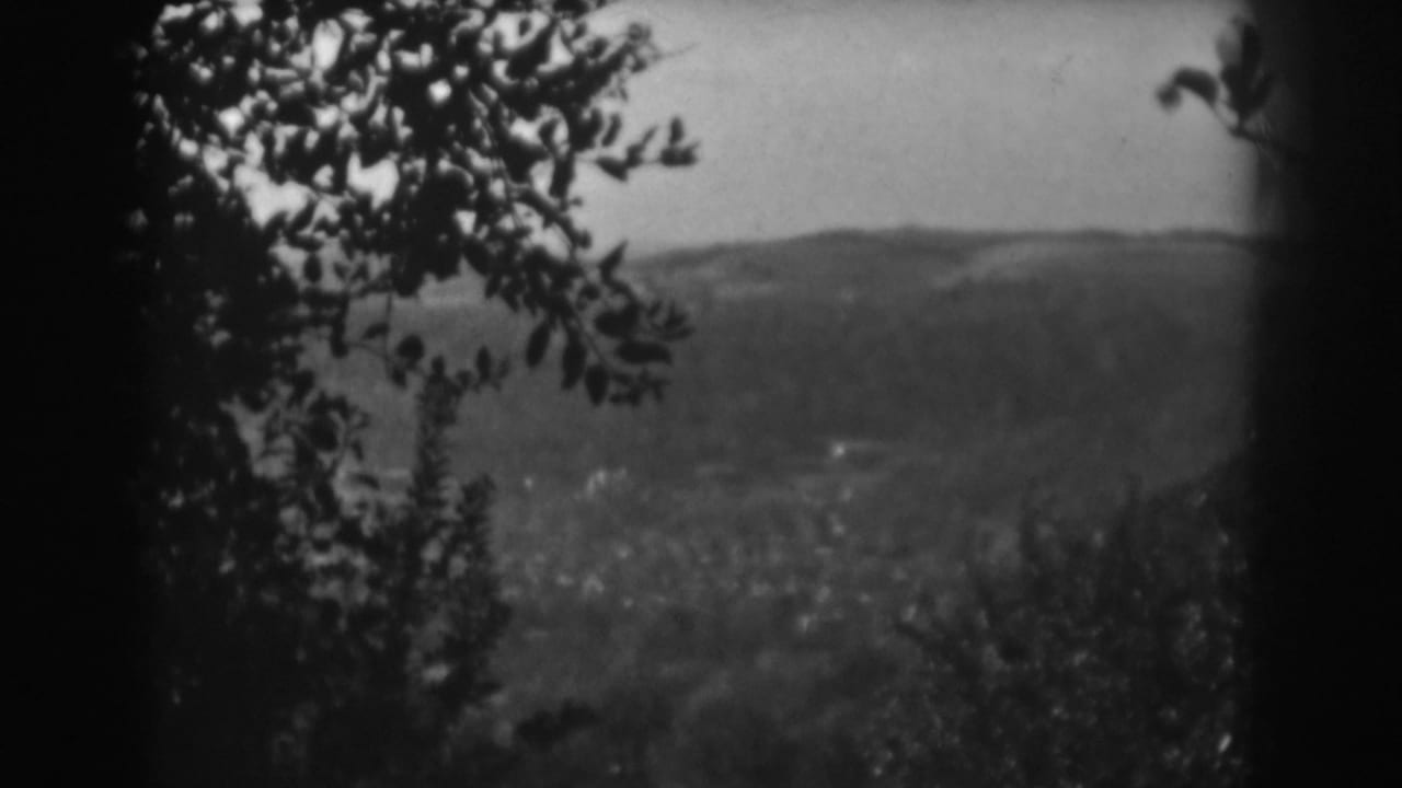 Soft black-and-white 8mm view of rolling hills near Vineland, New Jersey, with branches forming a natural foreground frame.