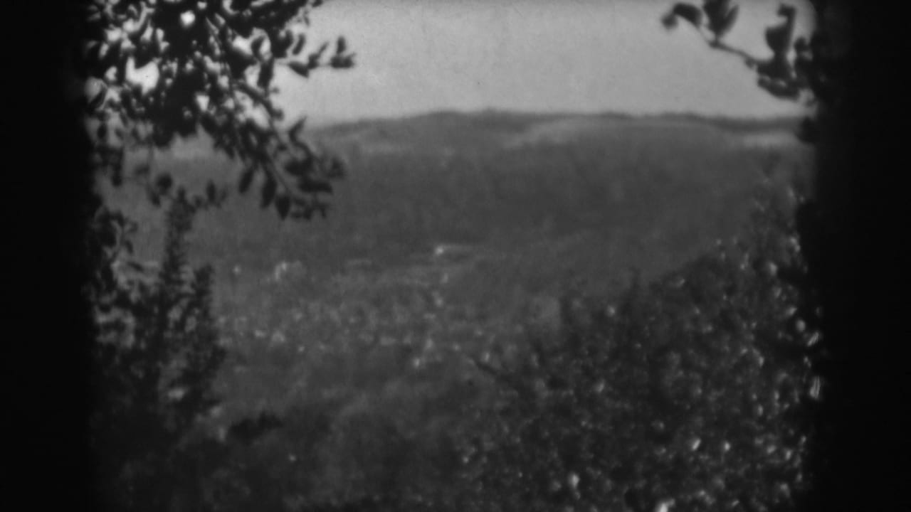 Soft black-and-white view across a valley framed by dark tree trunks and leaves.