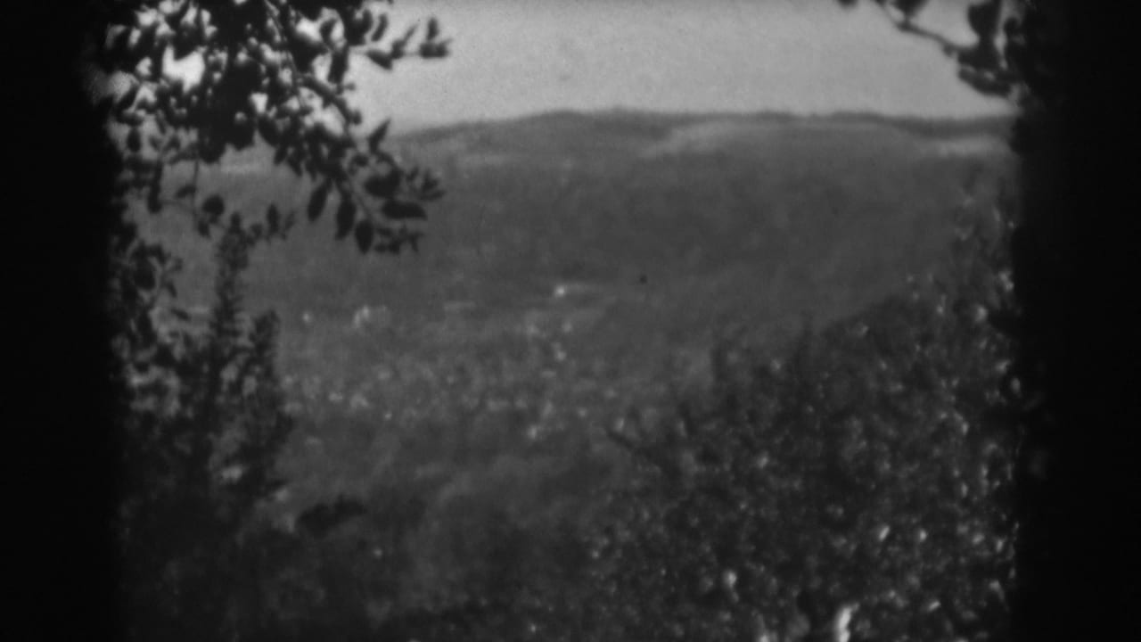 Elevated 1938 Vineland-area landscape view with foreground foliage and a distant ridge softened by 8mm focus.