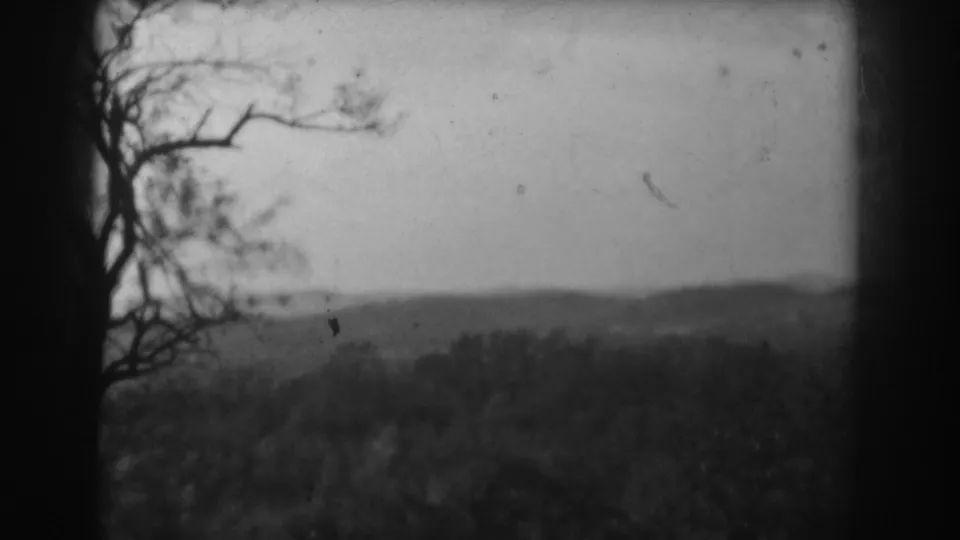 Final 8mm frame from the Vineland landscape clip, with bare branches in front of hazy low hills.