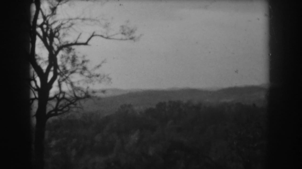 Bare tree branches and distant wooded hills in a soft black-and-white landscape.
