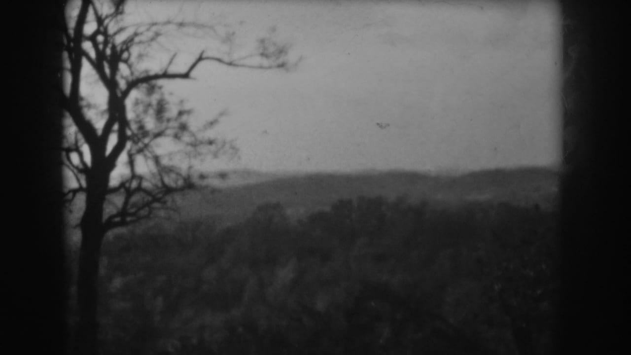 Leafless tree and low hills viewed through dark film edges.