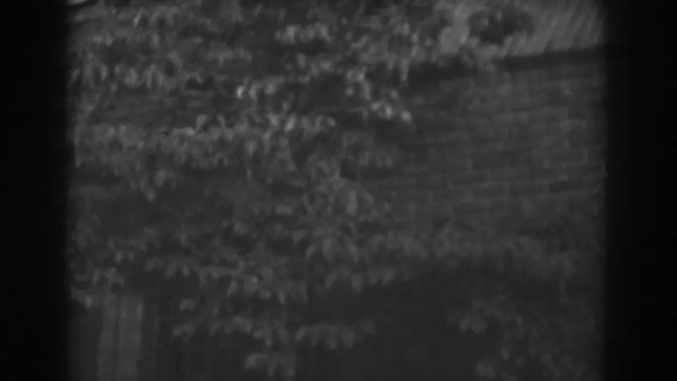 Black-and-white 8mm footage shows blurred vegetation and a wooded hillside in the Vineland landscape.