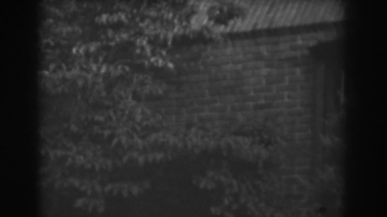 Brick building wall and foliage seen through a dark vertical frame edge.