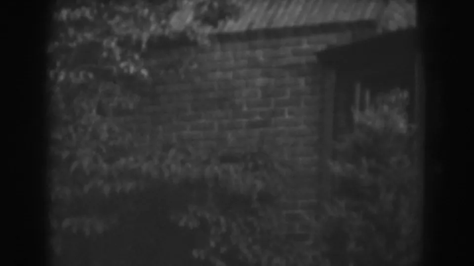 1938 home-movie frame of a brick exterior in Vineland, with plants obscuring part of a dark doorway or recess.