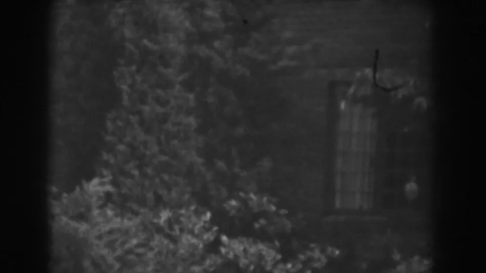 1938 Vineland frame showing overgrown plants across a brick house wall and a window with curtains.