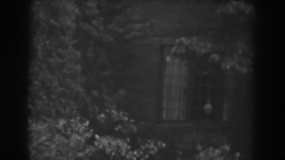 Soft black-and-white 8mm frame of a Vineland brick house window partly obscured by shrubs and climbing plants.