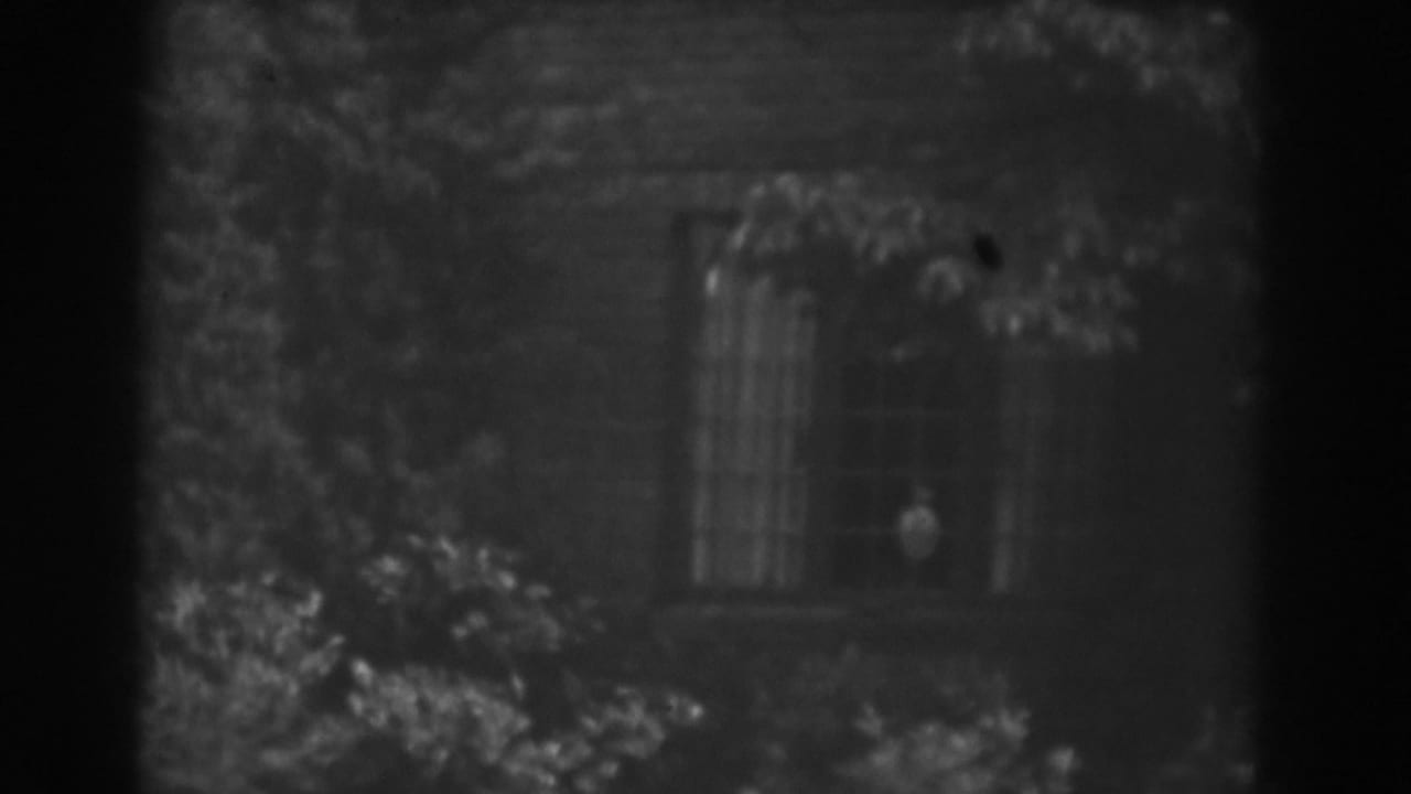 Dark wooden house wall with a multi-pane window partly covered by leaves.