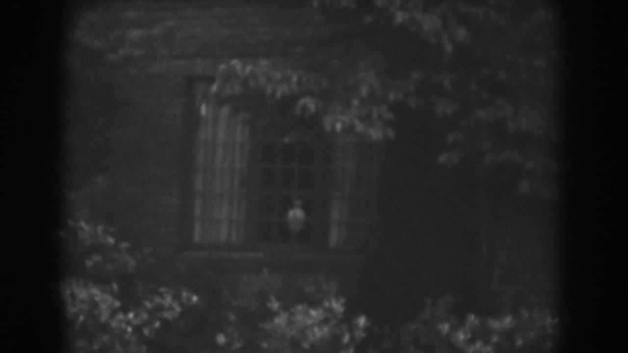 1938 Vineland, New Jersey frame of a shadowed exterior window with branches and leaves crossing the view.