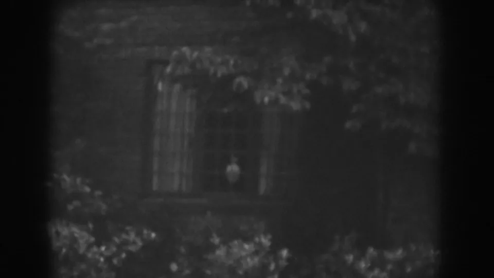 1938 Vineland, New Jersey frame of a shadowed exterior window with branches and leaves crossing the view.