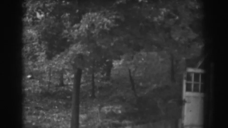 1938 Vineland, New Jersey exterior frame showing overgrown bushes, yard grass, stakes, and a small door beside a brick house.
