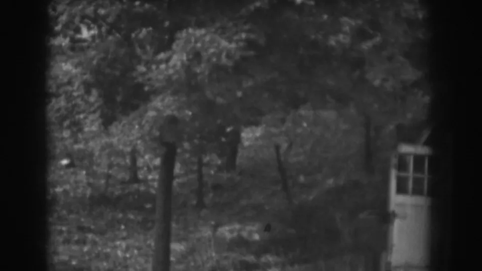Late-1930s Vineland home-movie frame with a small side door, dense yard foliage, grass, and brick wall texture.