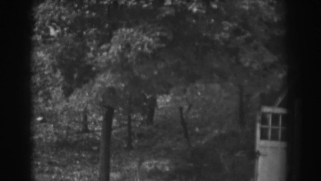 1938 Vineland, New Jersey home-movie frame showing trees and the edge of a small shed with white open doors.