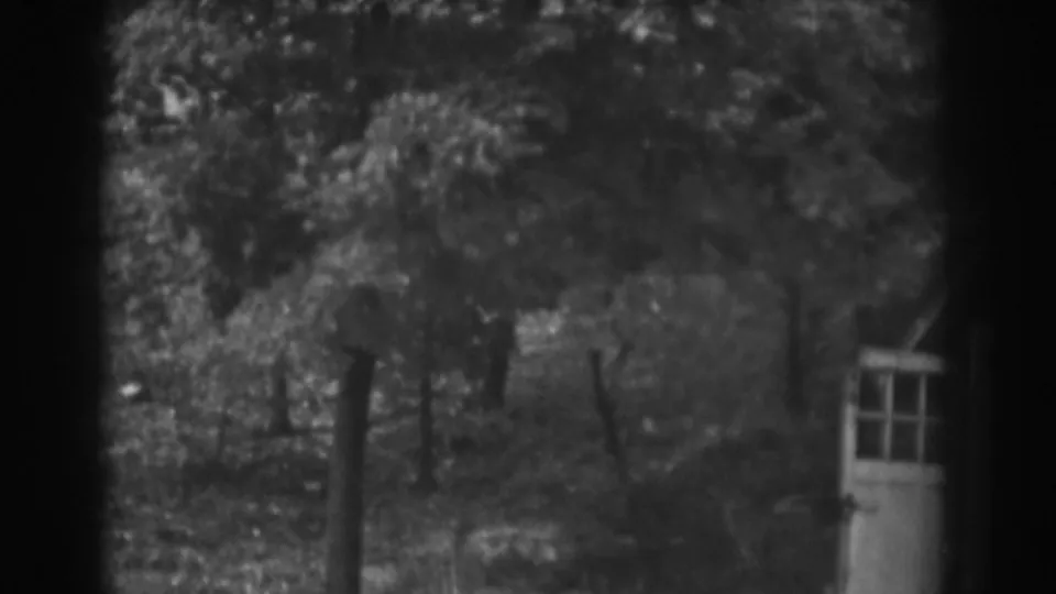 1938 Vineland, New Jersey home-movie frame showing trees and the edge of a small shed with white open doors.