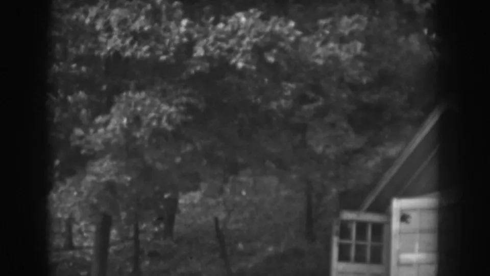 Vineland home-movie frame with leafy branches, shaded yard, and a small shed with open white doors.