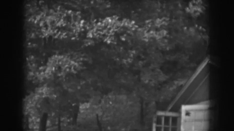 1938 8mm frame from Vineland showing a quiet yard, dense trees, and a small white-doored shed.