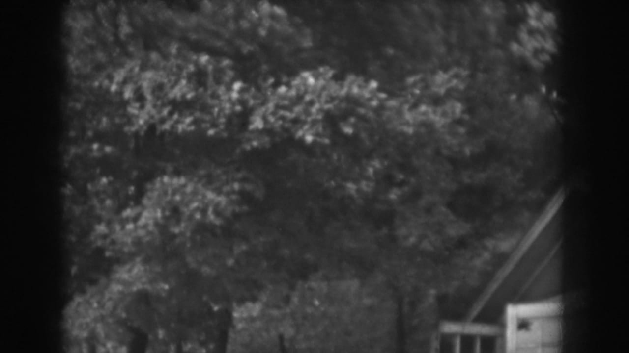 Windblown trees partially obscure a small house roof and wall.