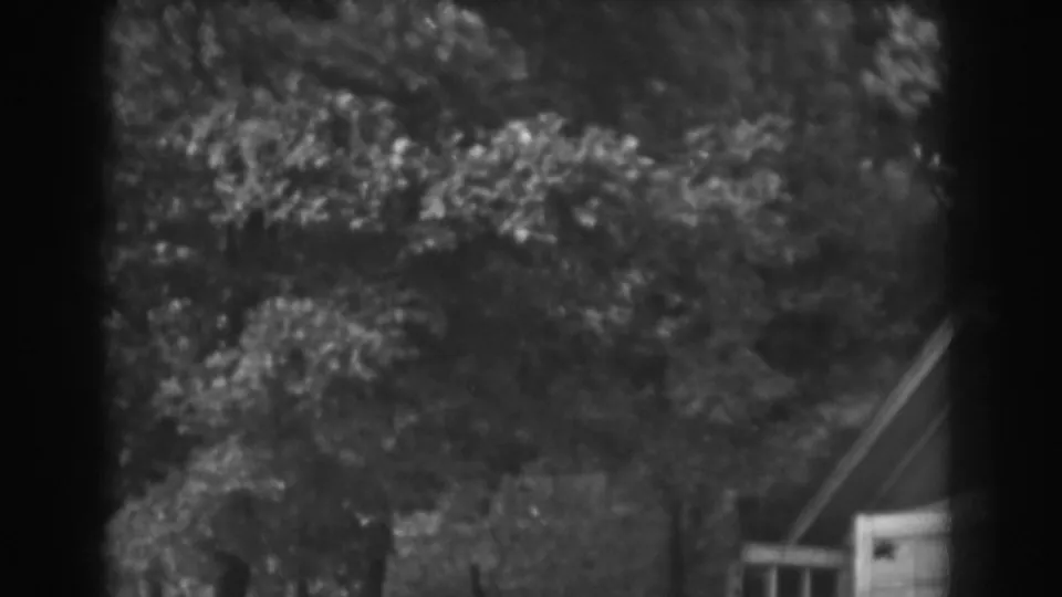 1938 Vineland, New Jersey 8mm frame showing dense trees in wind with a partial house roof and wall at the lower right.