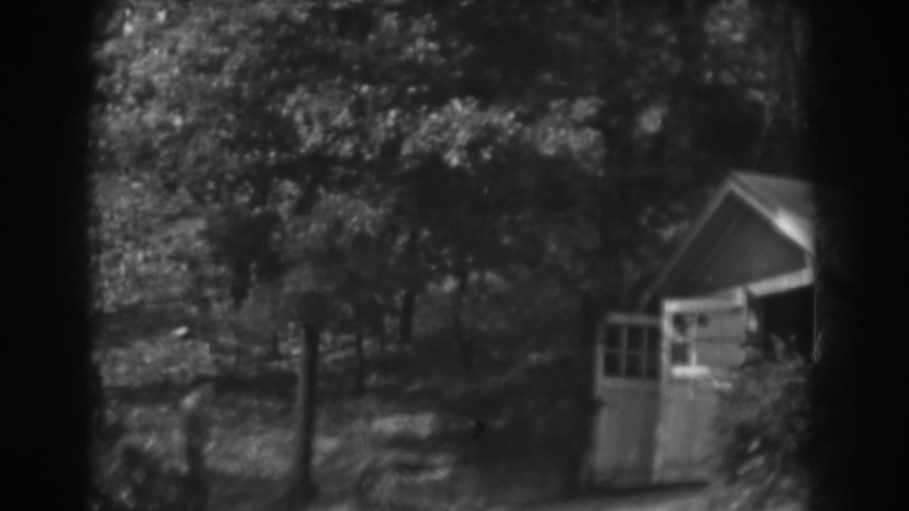 Wooded yard with a small shed at right and indistinct figures near foliage.