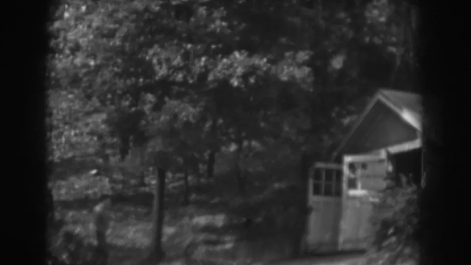 1938 Vineland, New Jersey 8mm frame showing trees, underbrush, and a small shed with an open doorway at the edge of a yard.