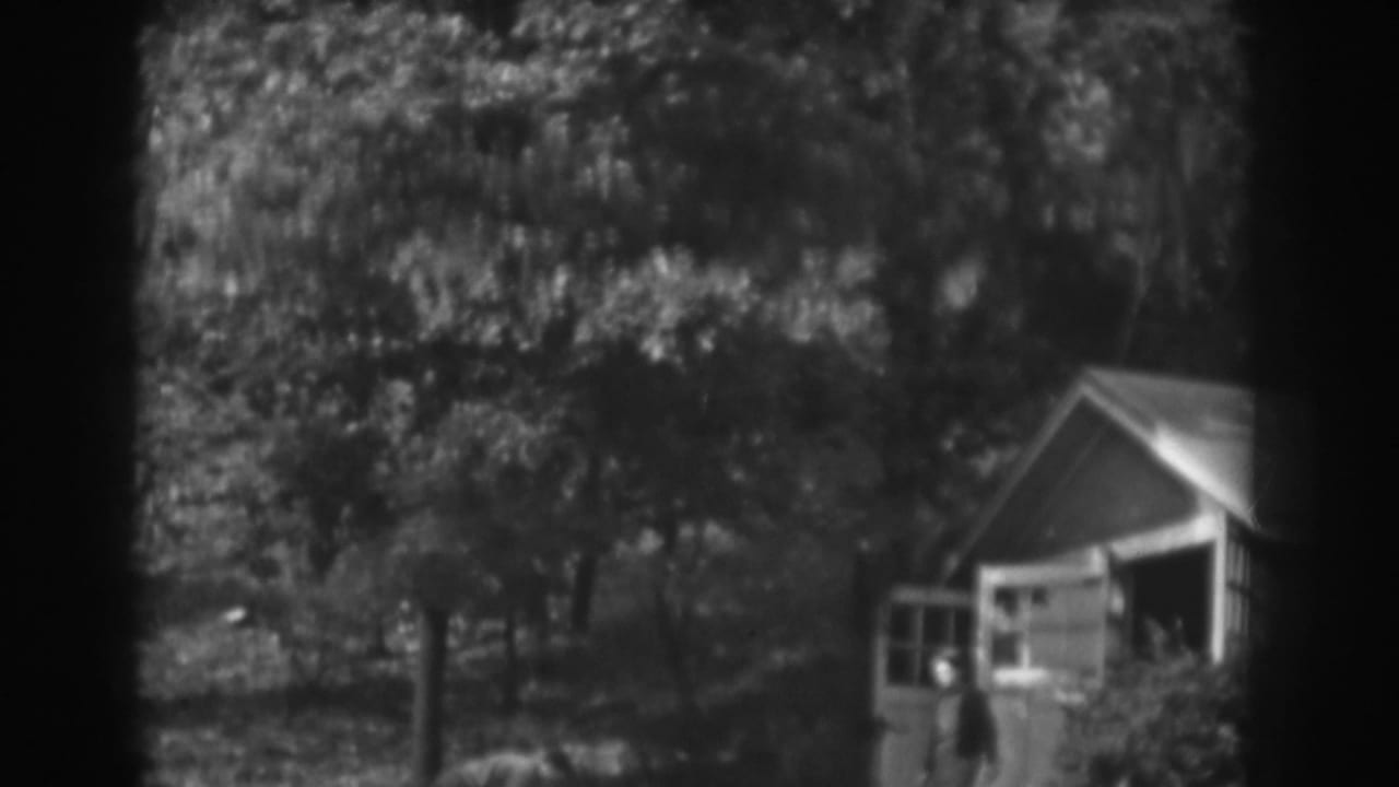 Small shed with open doorway in a wooded yard, with a figure partly visible near the entrance.