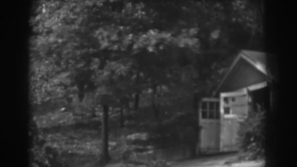 1938 Vineland, New Jersey frame showing the shed at right, dense trees, low vegetation, and a shadowed yard area.