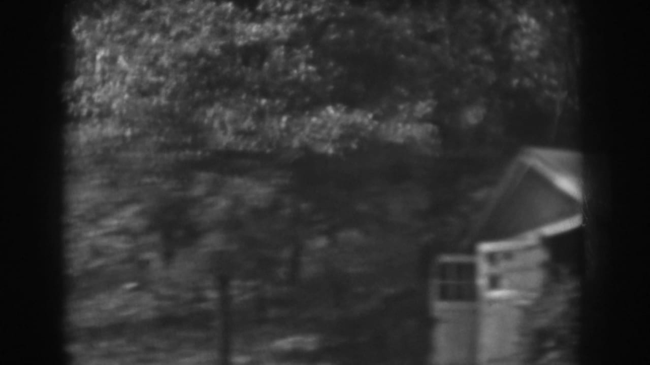 Wooden shed partly at right with trees and a sloping wooded background.