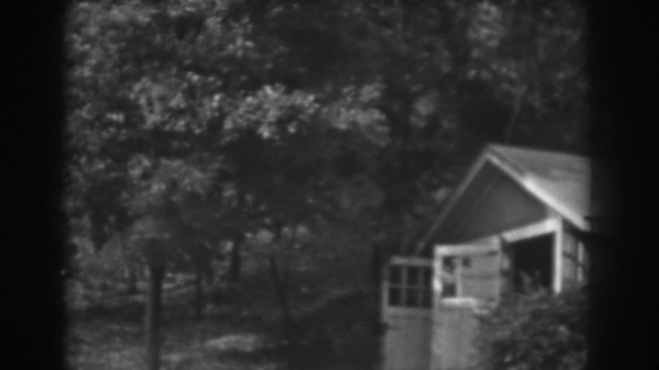 1938 Vineland home-movie frame showing a small shed with an open doorway amid dense trees and foliage.