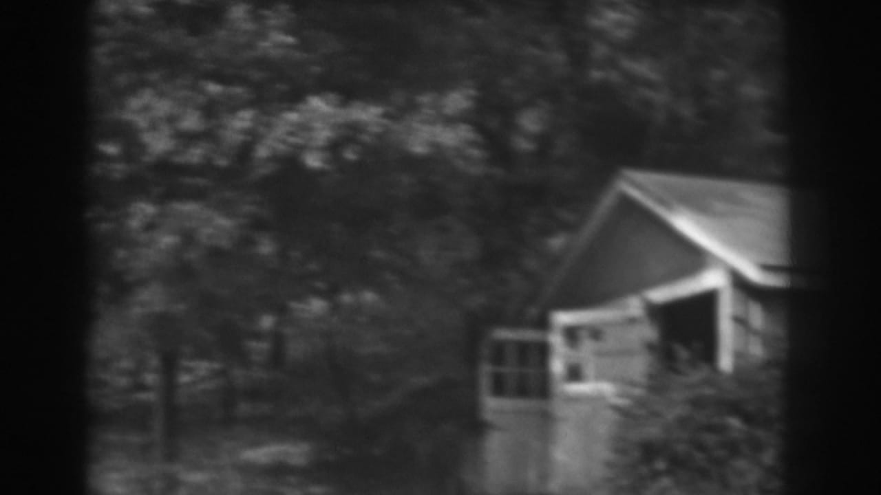 Wooded shed seen through soft-focus black-and-white film.