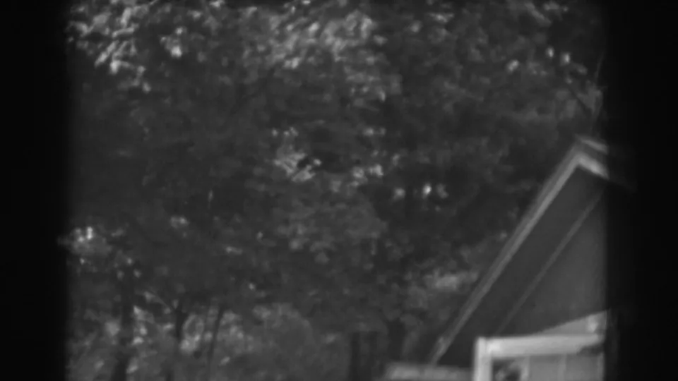 1938 Vineland frame showing foliage and a partly obscured residential roofline in soft black-and-white 8mm.