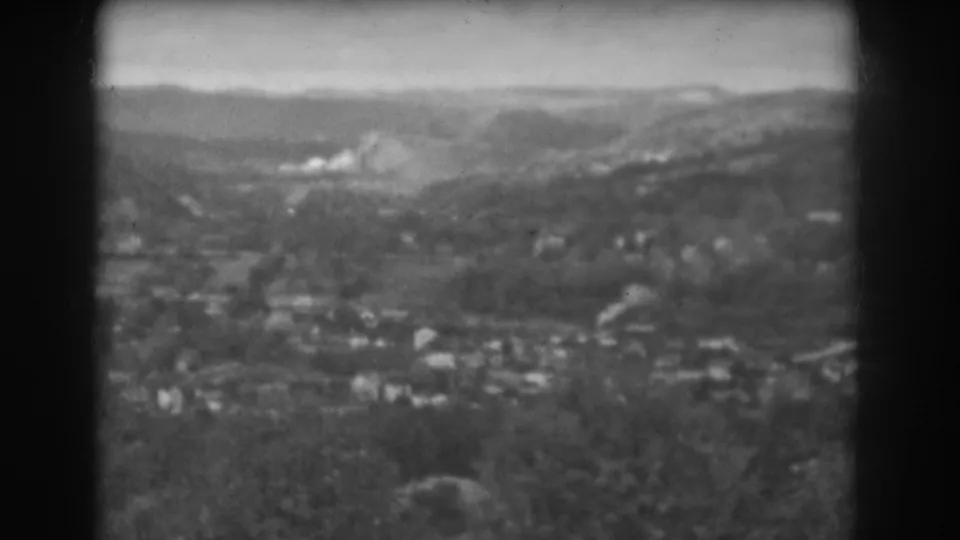 Elevated black-and-white view near Vineland, New Jersey, with distant buildings, rolling hills, cloudy sky, and blurred plants in front.