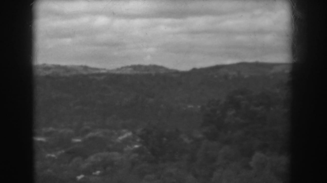 Distant ridgeline and blurred trees seen through dark film-frame edges.