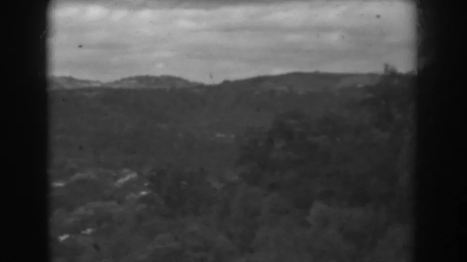 Vineland, New Jersey home-movie frame showing a soft-focus hillside panorama with dark foreground vegetation.