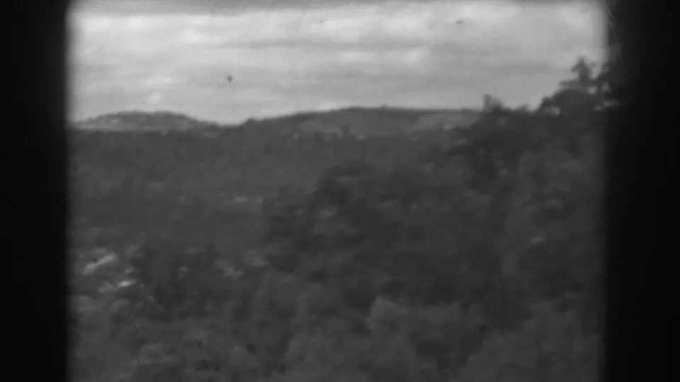 Late-1930s 8mm frame from the Vineland footage showing wooded slopes and a muted overcast horizon.