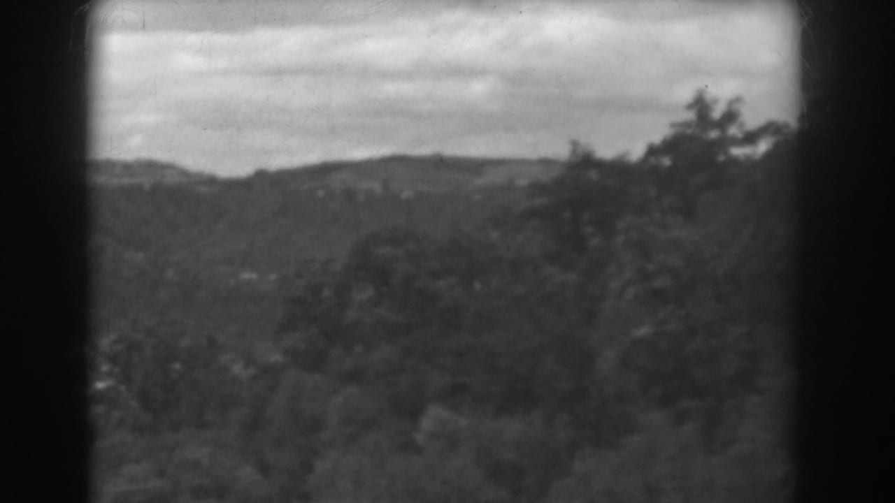 Soft black-and-white view of wooded hills under a pale sky.